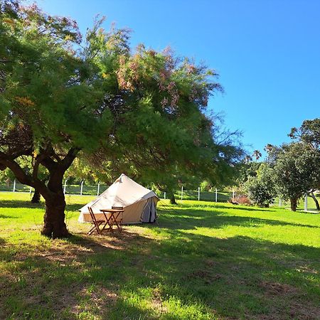 Bearsu Nature Almoxarife Horta (Azores) Exterior foto