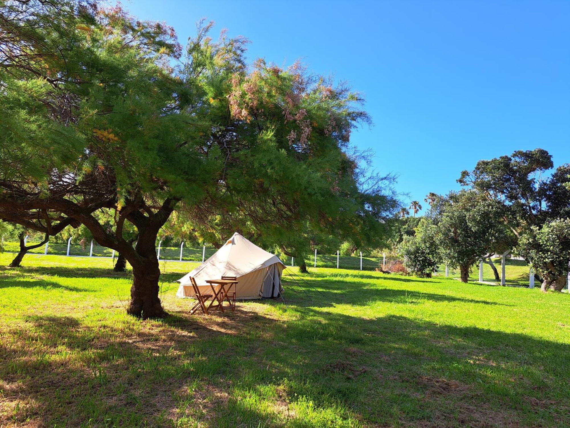 Bearsu Nature Almoxarife Horta (Azores) Exterior foto